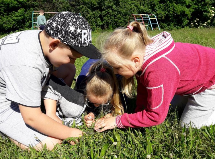 Fundacja Kreatywna Edukacja: Kolejne rozdanie dofinansowań na Lekcje&#8230;