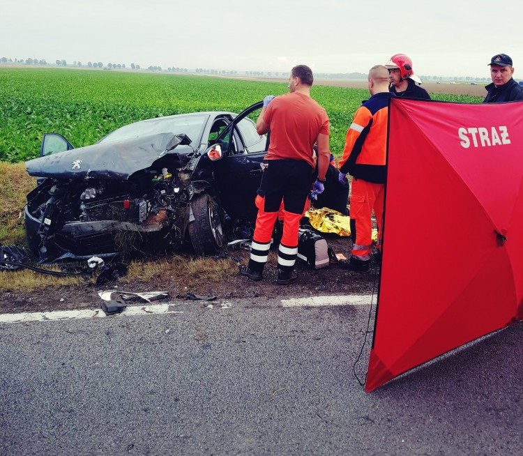 Śmiertelny wypadek na DK22. Zginęła kobieta 