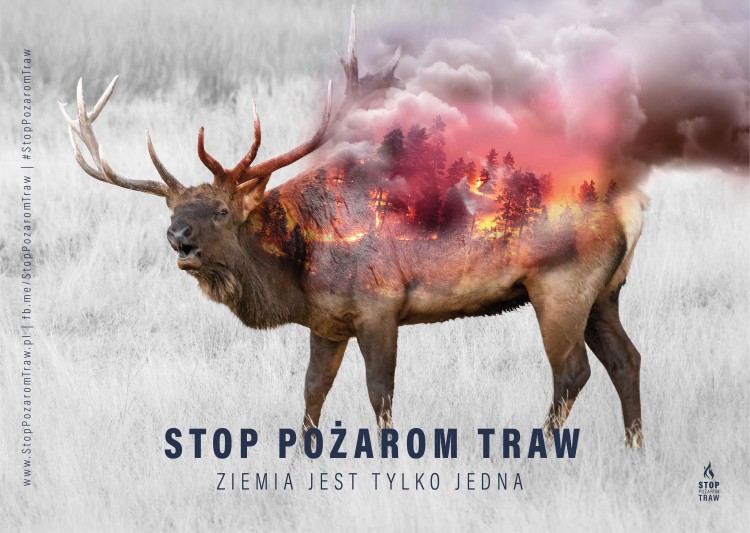 Pomyśl, zanim odpalisz zapałkę! Apel Państwowej Straży Pożarnej.