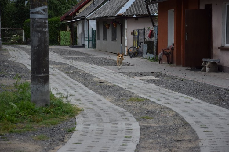 W powiecie nowodworskim poprawiono stan kilku wiejskich dróg.