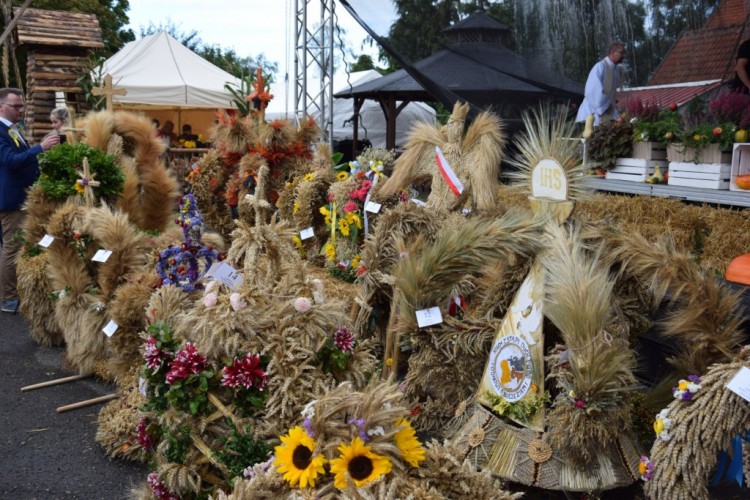 Odznaczenia dla zasłużonych rolników, sukces sołectwa Kmiecin, czyli&#8230;