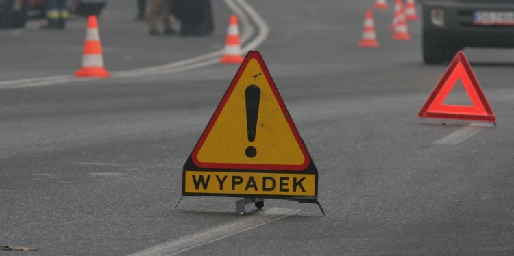 Kolizje drogowe i potrącenie dzikiego zwierza – raport nowodworskich&#8230;