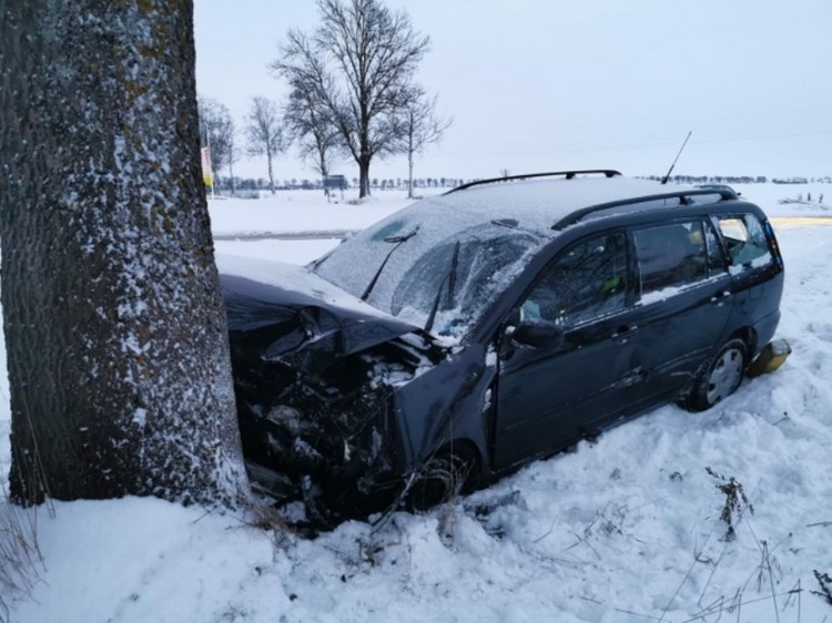 DK22. W wyniku zderzenia z drzewem, kierowca trafił do szpitala.