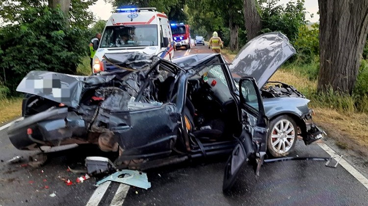 Uderzył w przydrożne drzewo. Ranne dziecko przetransportowano LPR-em&#8230;