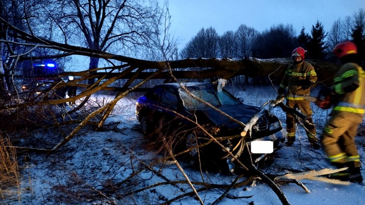 Drzewo spadło na osobówkę – weekendowy raport malborskich służb mundurowych.