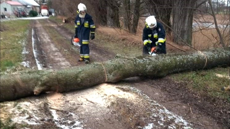 Nowy Dwór Gdański. Strażacy usuwają skutki porywistego wiatru.