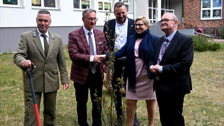 Krynica Morska. Sadzenie drzewek z okazji Dnia Patrona Szkoły Podstawowej.