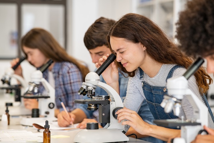 Jak dobrze przygotować się do matury z biologii?