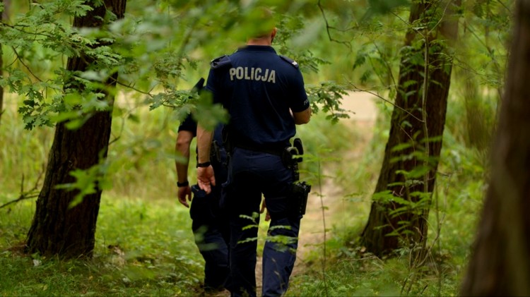 Nowy Dwór Gdański. Sezon na grzybobranie trwa – policja apeluje o&#8230;