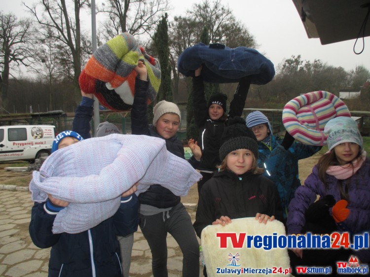 Na pomoc zwierzętom ze schroniska. Krynica Morska - 1.12.2015