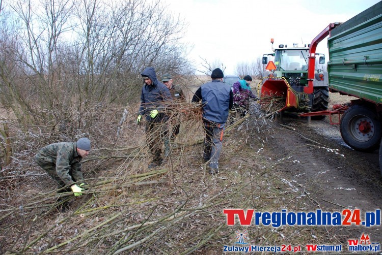 Park Krajobrazowy "Mierzeja Wiślana" Akcja oglawiania wierzb - 26.02.2016