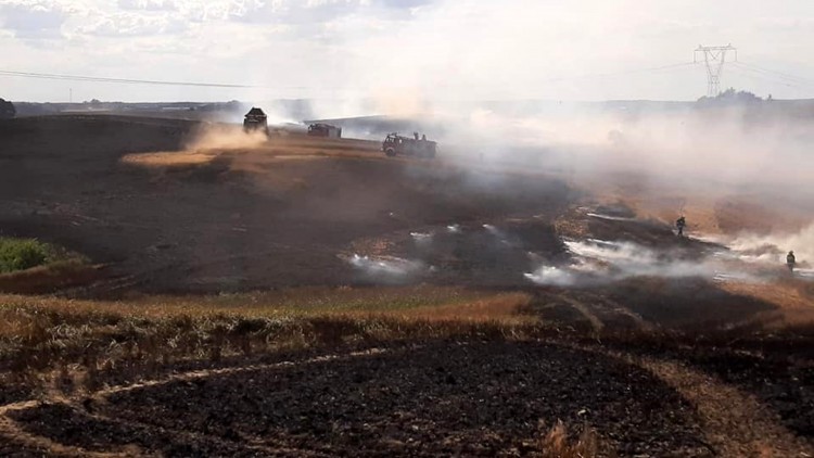 Plaga pożarów w powiecie i niebezpieczne kolizje – raport sztumskich służb mundurowych.