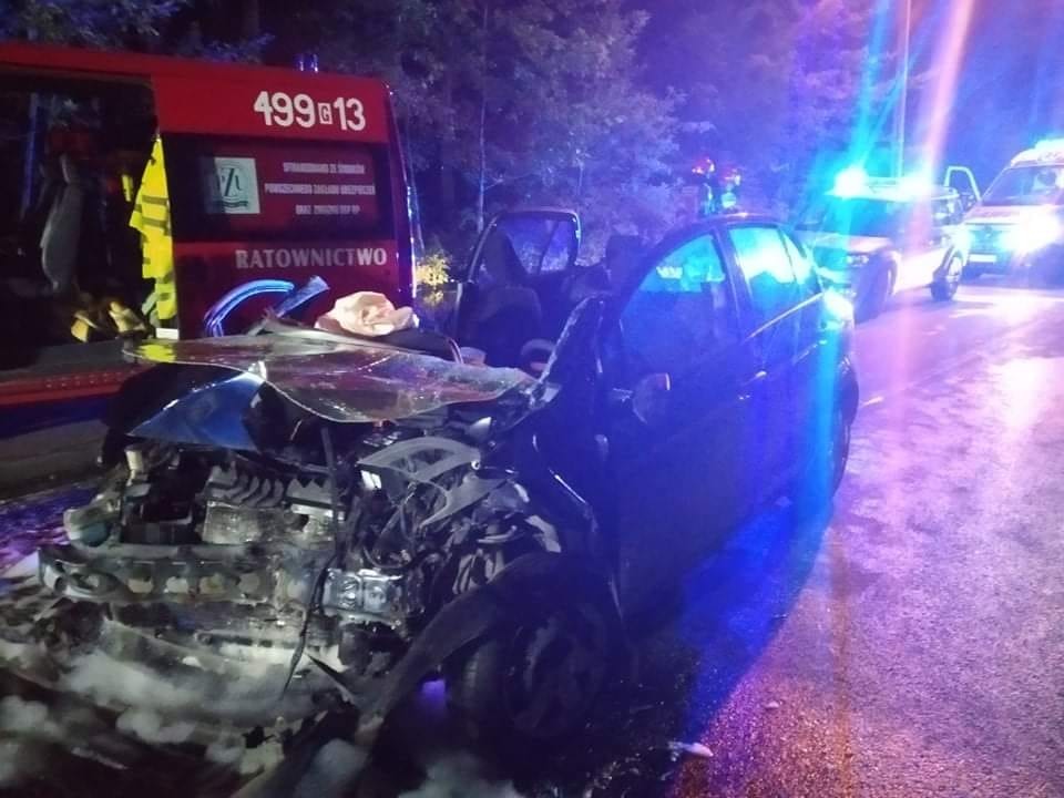 Stegna. W czołowym zderzeniu osobówek siedem rannych kobiet trafiło do szpitali.