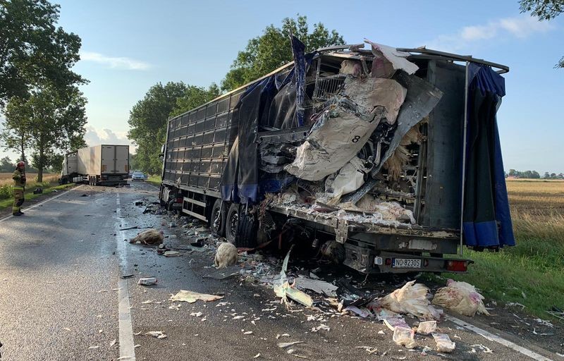 DK22. W wyniku zderzenia ciężarówek jeden z kierowców trafił do szpitala.
