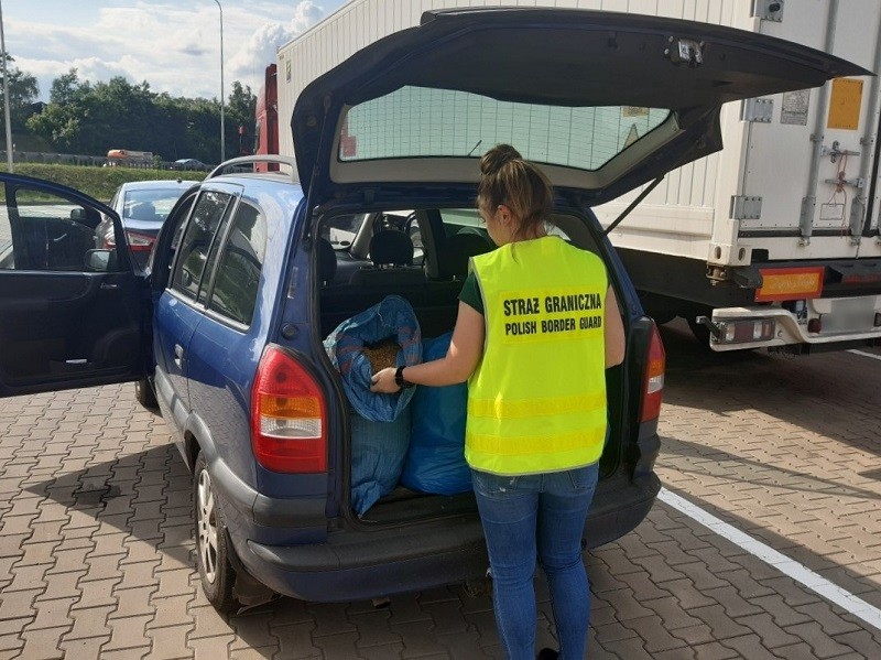 Elbląg. Na bazarku chciał sprzedać 80 kg nielegalnej krajanki tytoniowej.