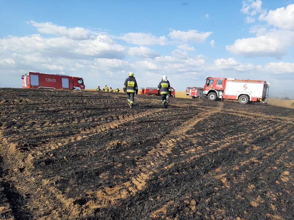 Plaga pożarów w powiecie i niebezpieczne kolizje – raport sztumskich służb mundurowych.