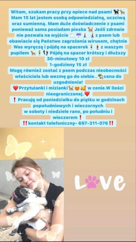 Malbork. Popilnuję psa - nastolatka szuka pracy.