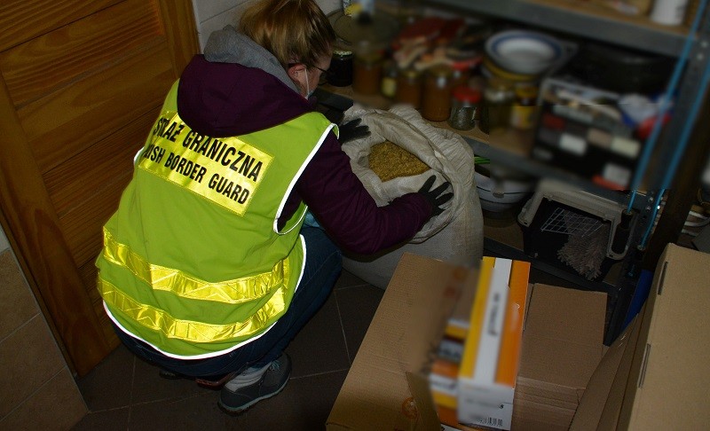 Bezdomny miał produkować nielegalne papierosy w przydomowej fabryce.