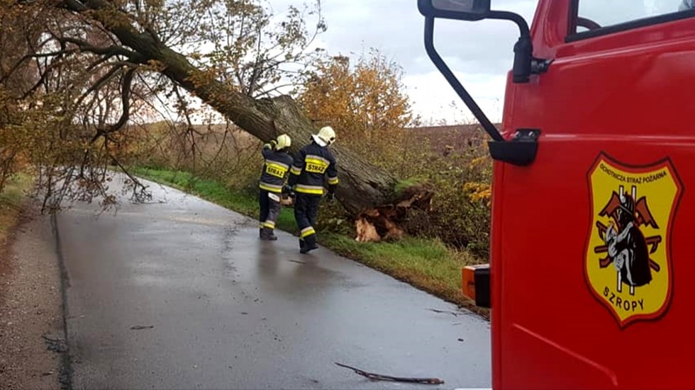Malbork i Sztum. Strażacy zmagali się ze skutkami potężnej wichury.
