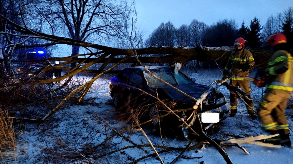 Drzewo spadło na osobówkę – weekendowy raport malborskich służb mundurowych.
