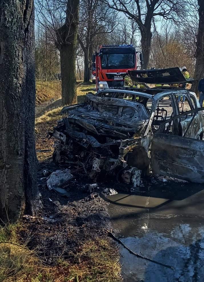 Nowy Dwór Gdański. Osobówka uderzyła w drzewo i spłonęła - nie żyje kierowca.