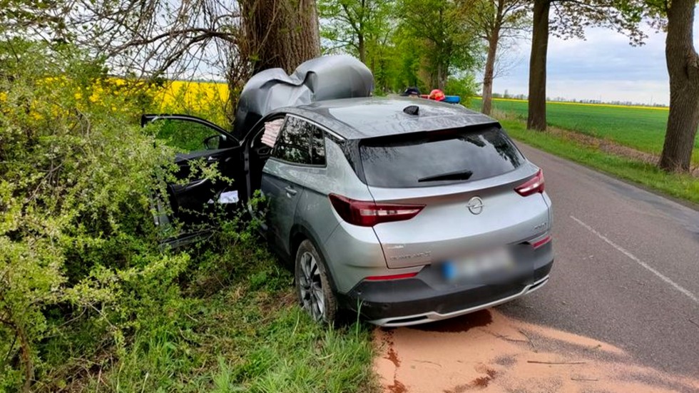 Lichnowy. Pijany kierowca sprawcą kolizji – jazdę zakończył na drzewie.