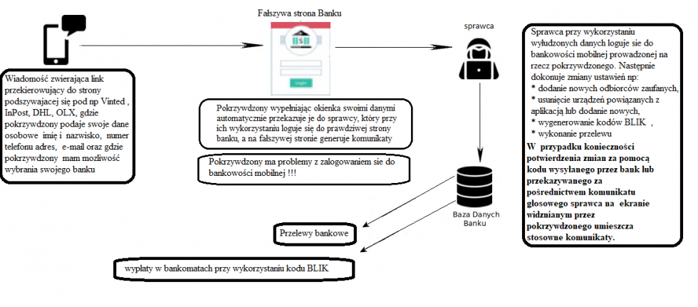 Powiat nowodworski. Ponad 60 osób oszukanych przez Internet.