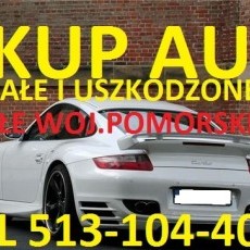 Skup Aut t.513104404 Sztum,Mikołajki Pomorskie,Kwidzyn Złomowanie Kasacja Aut