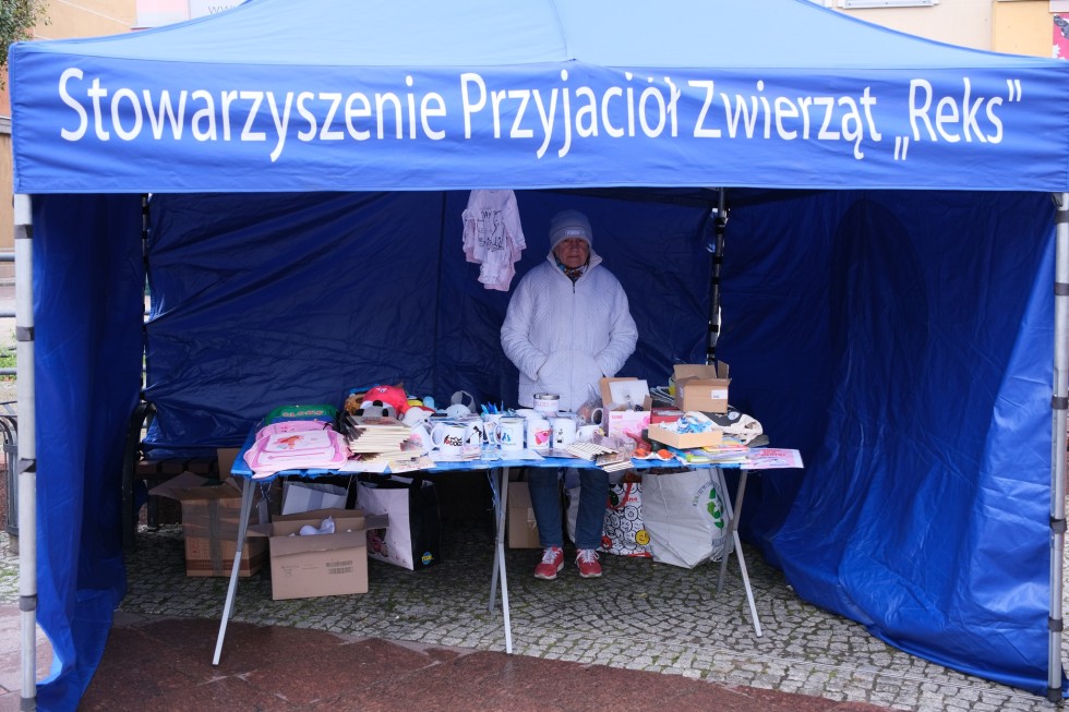 Edukacyjne Ekomiasteczko "Zielony Malbork - W kierunku gospodarki o obiegu zamkniętym"
