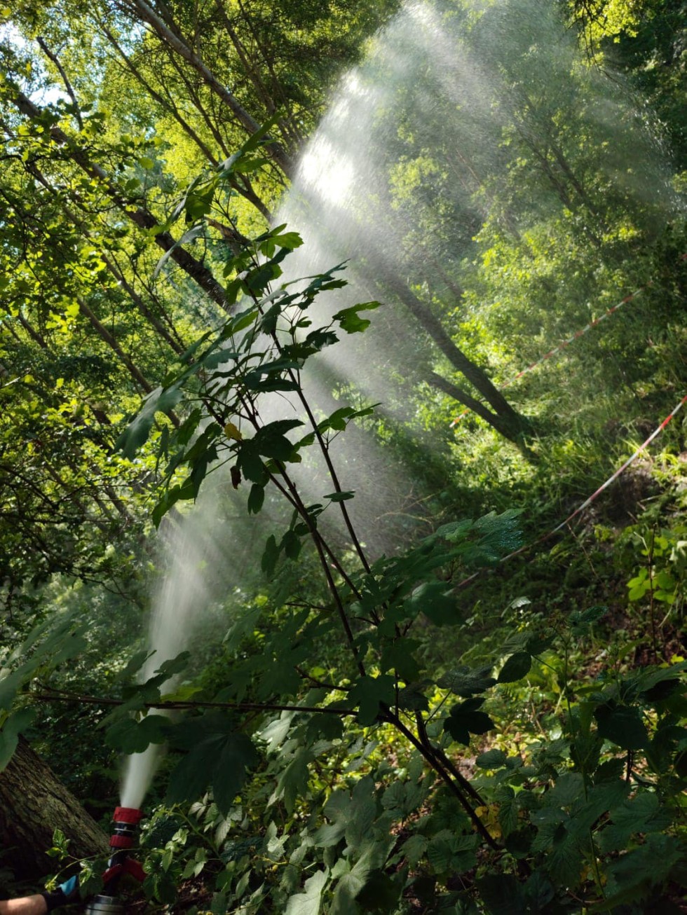Powiat sztumski. Pożar lasu – ćwiczenia strażackie.