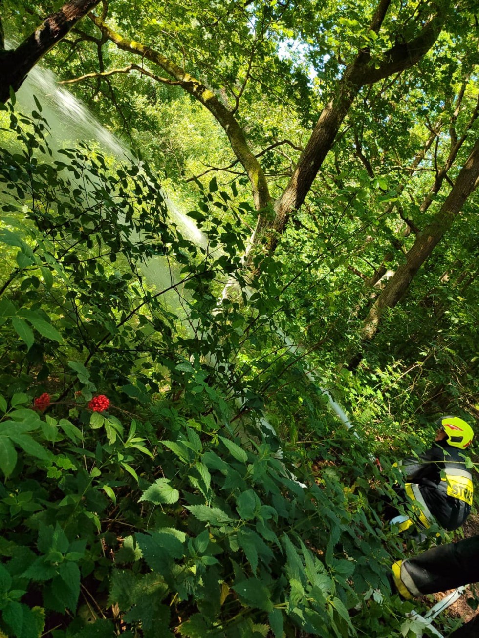 Powiat sztumski. Pożar lasu – ćwiczenia strażackie.