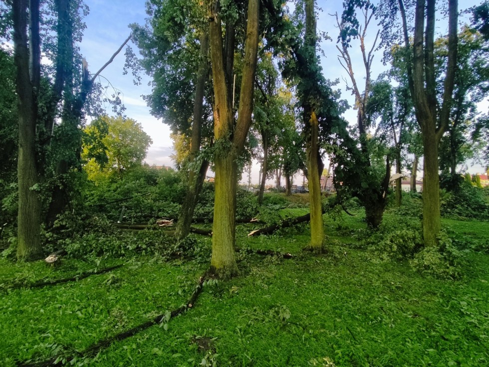 Usuwanie skutków wtorkowej nawałnicy w Gminie Miłoradz.