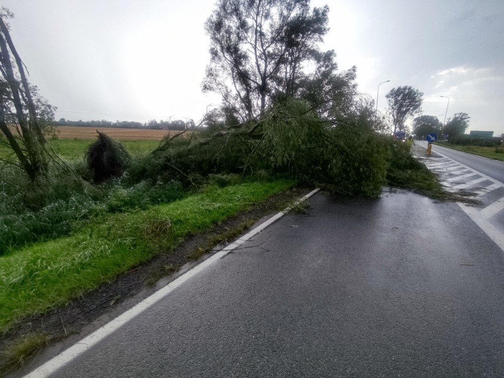 Usuwanie skutków wtorkowej nawałnicy w Gminie Miłoradz.