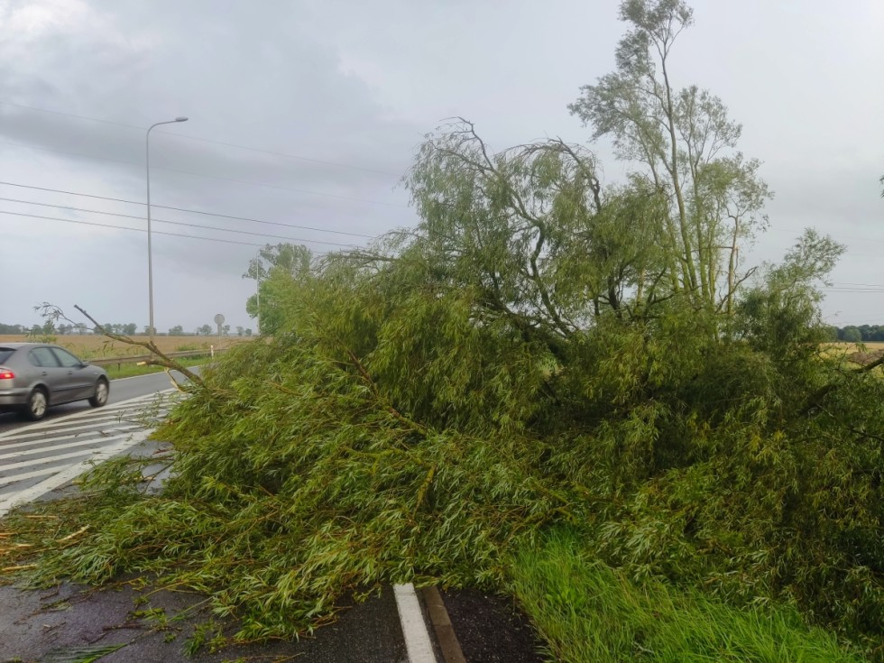 Usuwanie skutków wtorkowej nawałnicy w Gminie Miłoradz.
