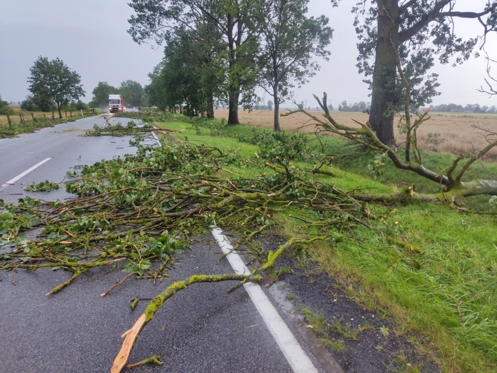 Usuwanie skutków wtorkowej nawałnicy w Gminie Miłoradz.