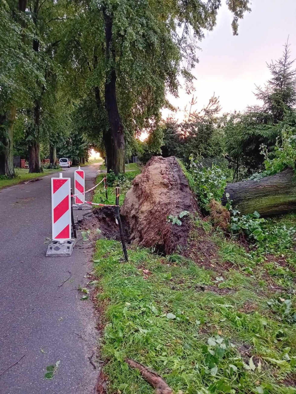 Powiat sztumski liczy straty po wtorkowej burzy.