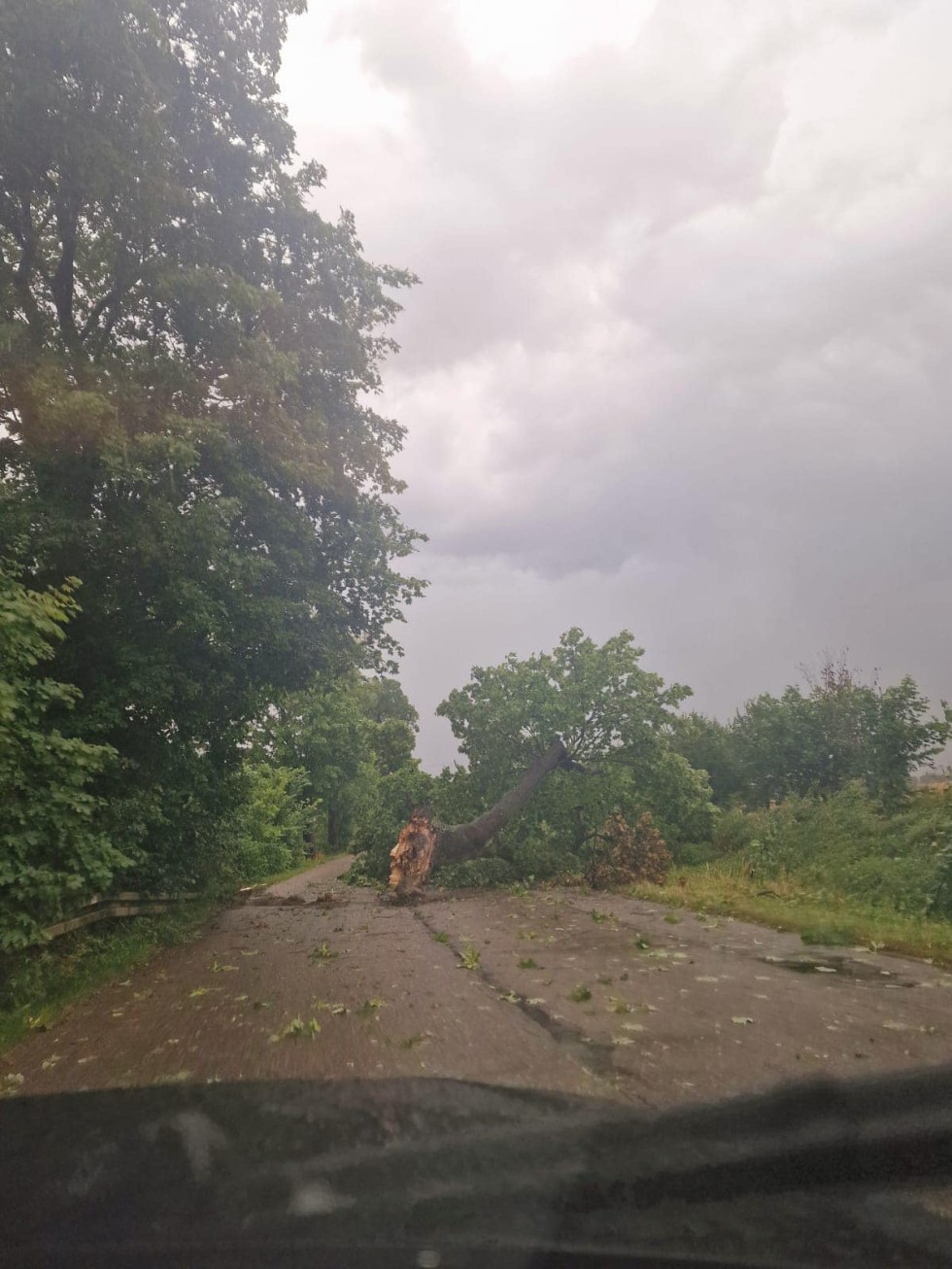Strażacy powiatu nowodworskiego walczyli ze skutkami wtorkowej nawałnicy.