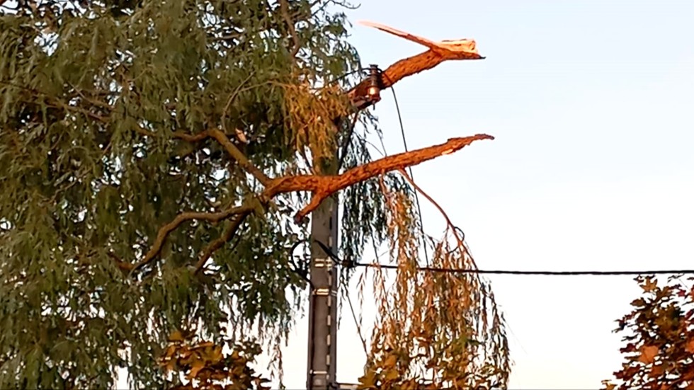 Usuwanie skutków wichury, pożar instalacji elektrycznej i kot na drzewie – raport sztumskich służb mundurowych.
