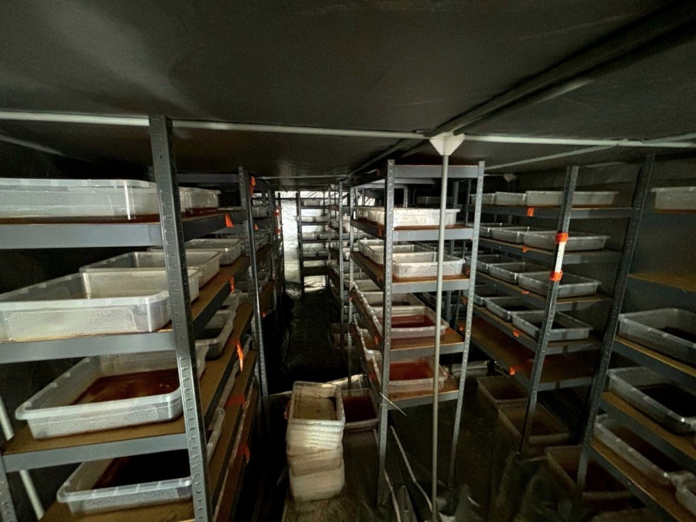 6 milionów złotych, blisko 200 kg zabezpieczonych substancji, zlikwidowane 2 linie produkcyjne i 2 osoby w areszcie to bilans realizacji policjantów gdańskiej komendy wojewódzkiej.