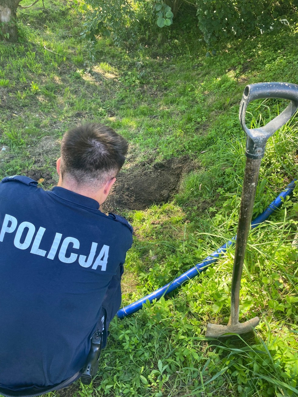 Powiat nowodworski. Kobieta zakopała żywcem małego kota – grozi jej do 5 lat więzienia.