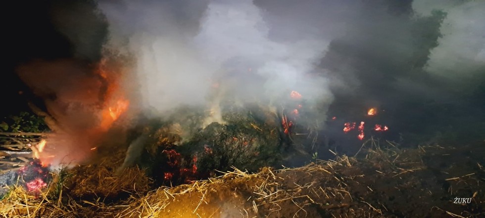 Pożary, owady błonkoskrzydłe i kolizja drogowa – tygodniowy raport malborskich służb mundurowych.