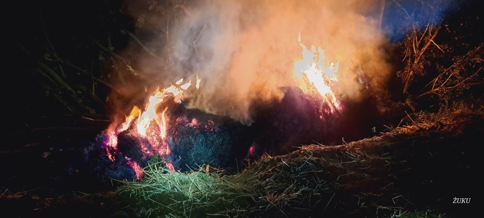 Pożary, owady błonkoskrzydłe i kolizja drogowa – tygodniowy raport malborskich służb mundurowych.