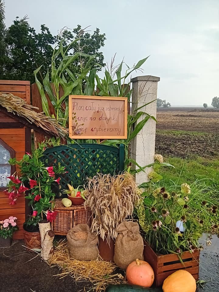 Gmina Nowy Staw. Kto wygra w konkursie na najładniejszą Dożynkową Zagrodę?