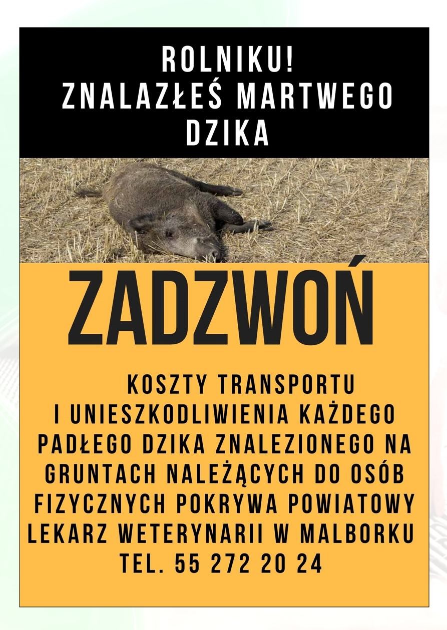 WAŻNE! Strefa zapowietrzona i zagrożona ASF w powiecie sztumskim.