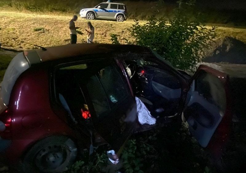 Gmina Miłoradz. Osobówka wypadła z drogi i zatrzymała się na prywatnej posesji – kierowca był pijany.