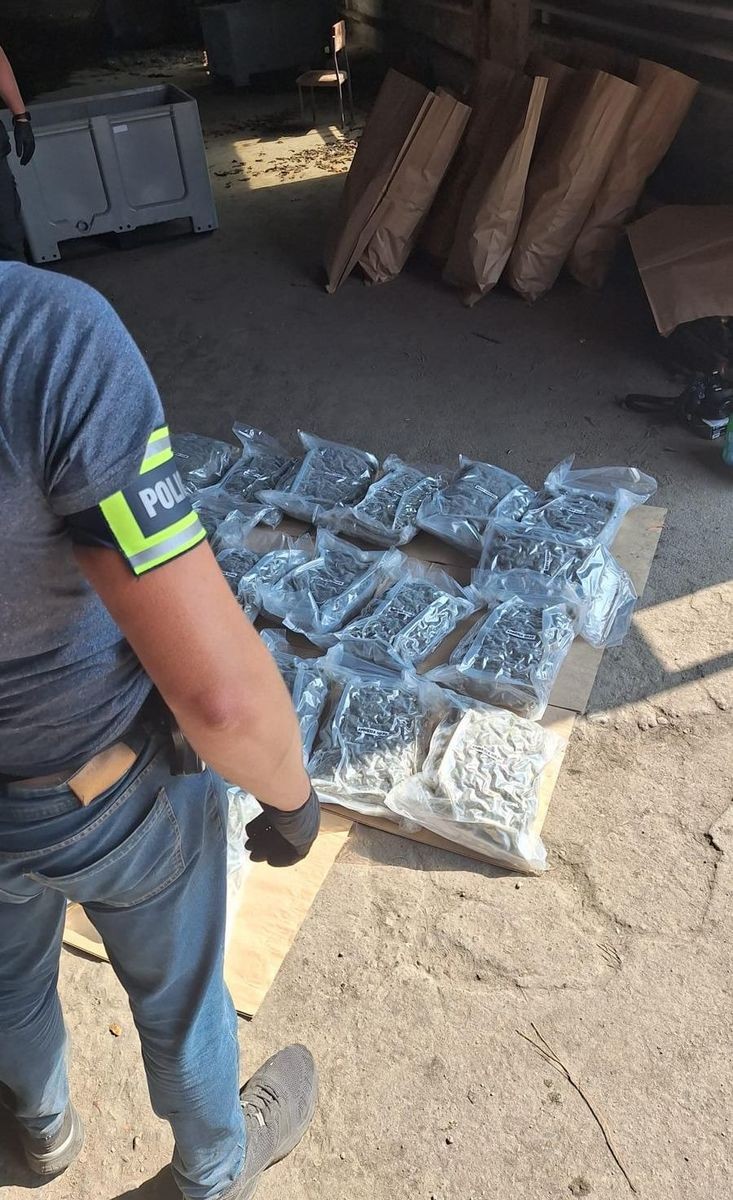 177 kg Marihuany w marchewce. Policja przechwyciła duży transport. Zobacz wideo i zdjęcia