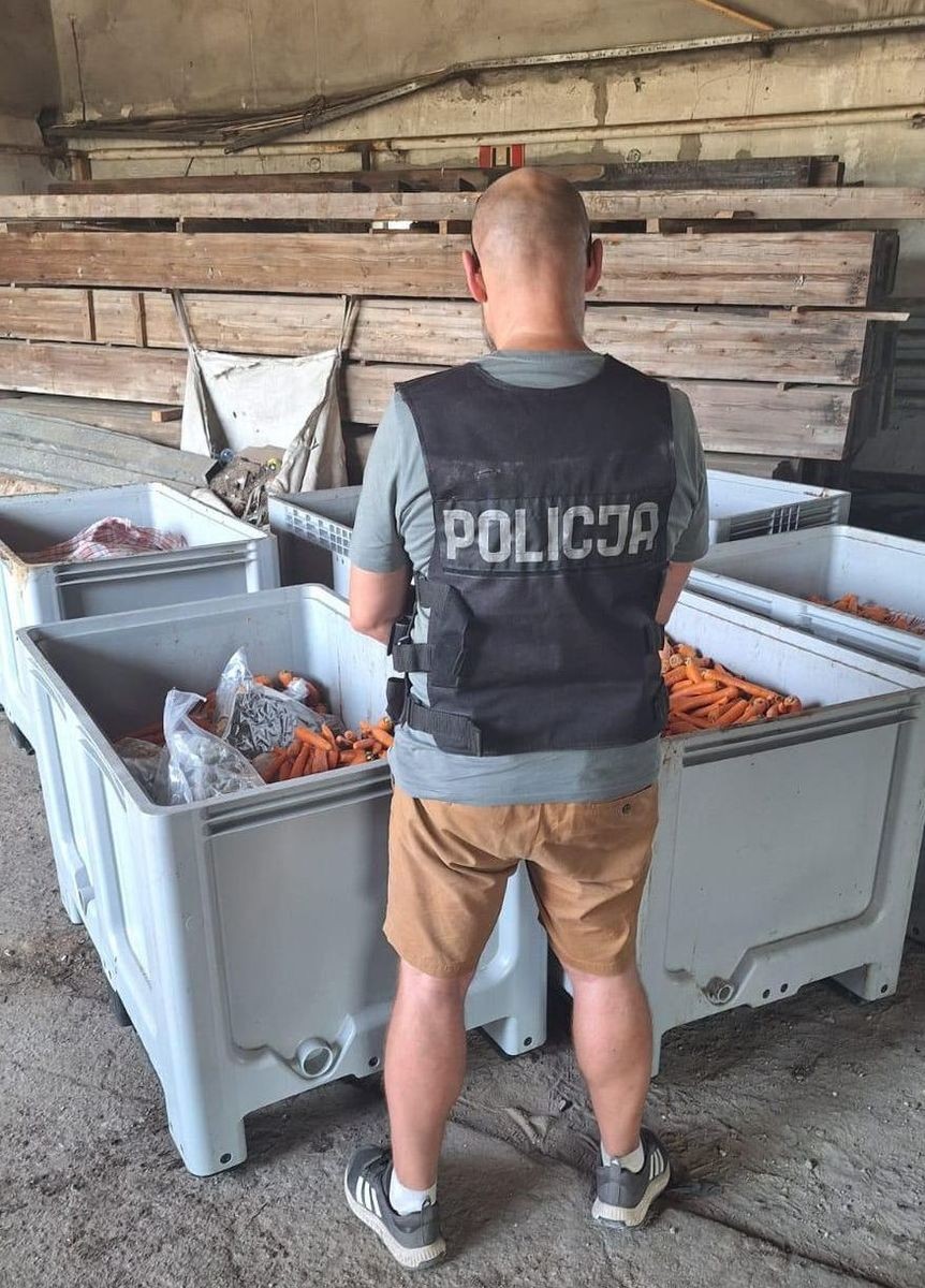 177 kg Marihuany w marchewce. Policja przechwyciła duży transport. Zobacz wideo i zdjęcia