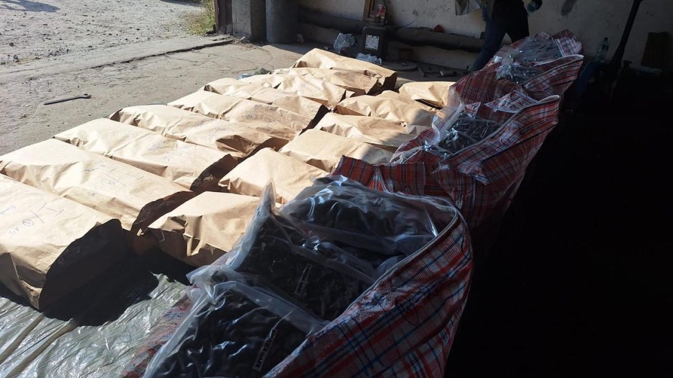 177 kg Marihuany w marchewce. Policja przechwyciła duży transport. Zobacz wideo i zdjęcia