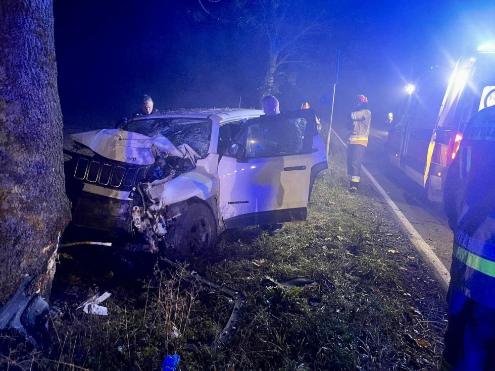DK55. Śmiertelny wypadek w Chlebówce – nie żyje kierowca osobówki.