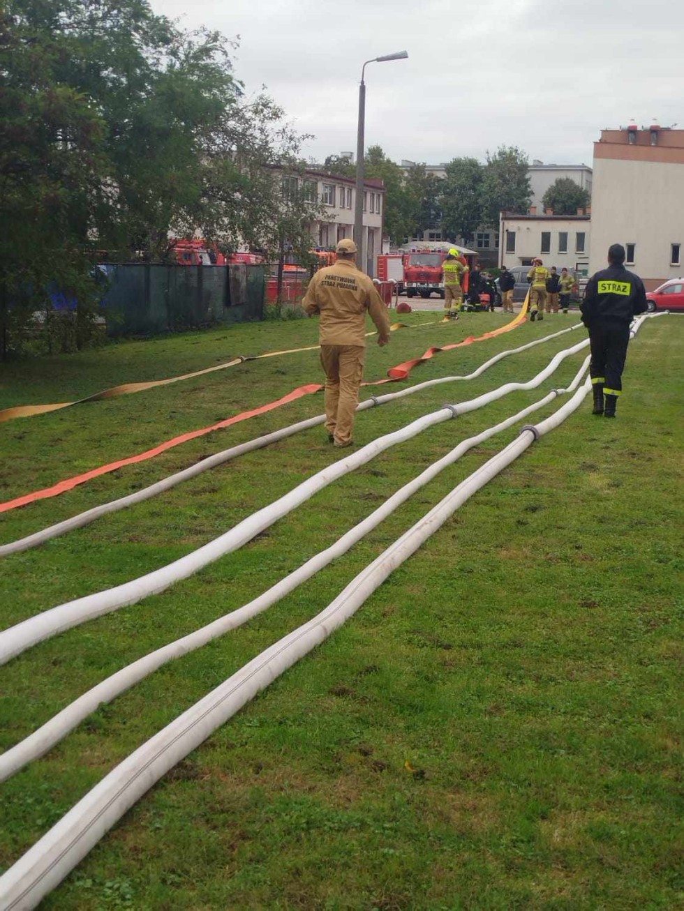 Malbork. Warsztaty z przetłaczania i przepompowywania wody podczas pożaru lasu - ćwiczenia strażaków. Zdjęcia